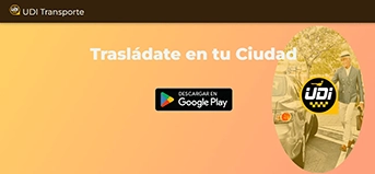 Sitio UDI en vista de escritorio.