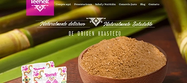 Vista de escritorio del sitio Teenek-Piloncillo